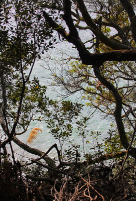 Water Below