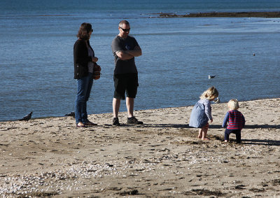 Fun at the beach