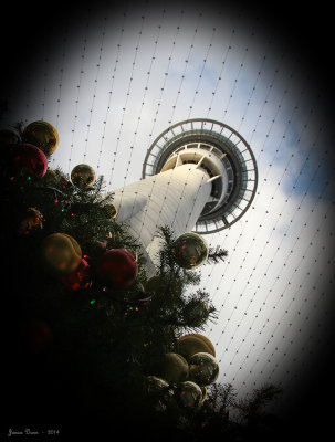 December in NZ means Sky Tower is Decorated