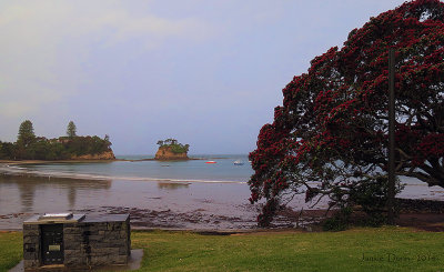 December in NZ - and it is RAINING