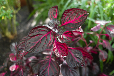 20140506-IMGP0594.jpg