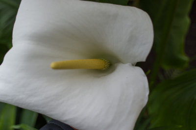 20140506-IMGP0610.jpg
