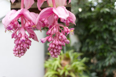 20140506-IMGP0617.jpg