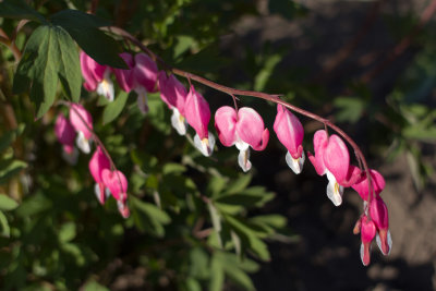 20140506-IMGP0677.jpg