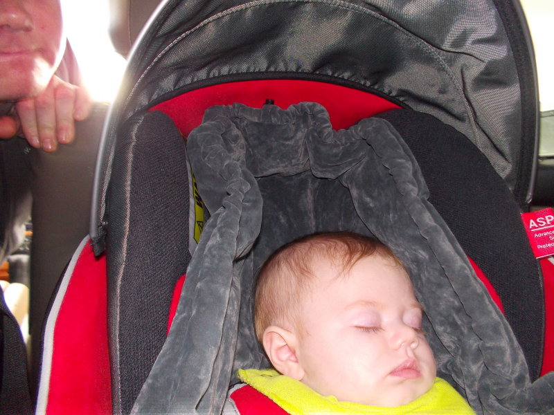 DSCN0080.JPG