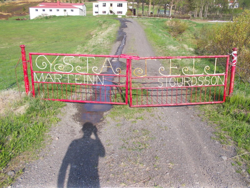 DSCN0236.JPG