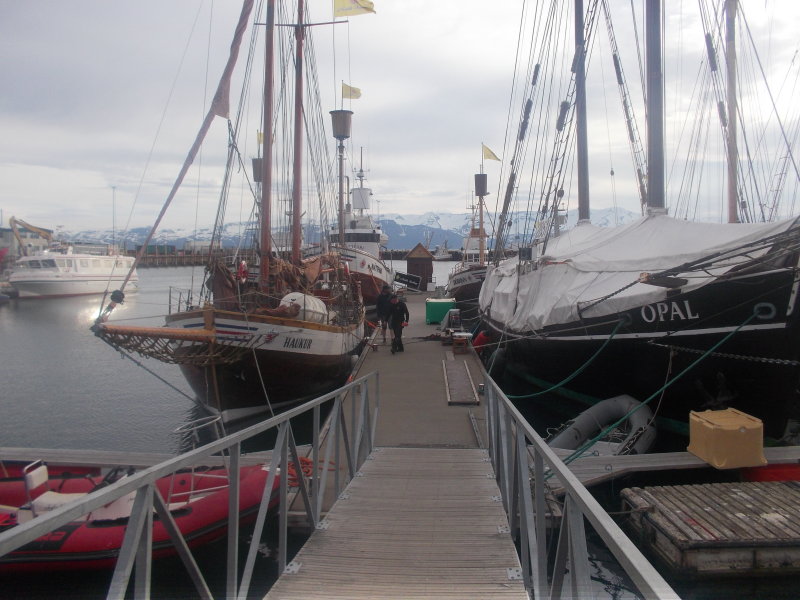 DSCN0515.JPG
