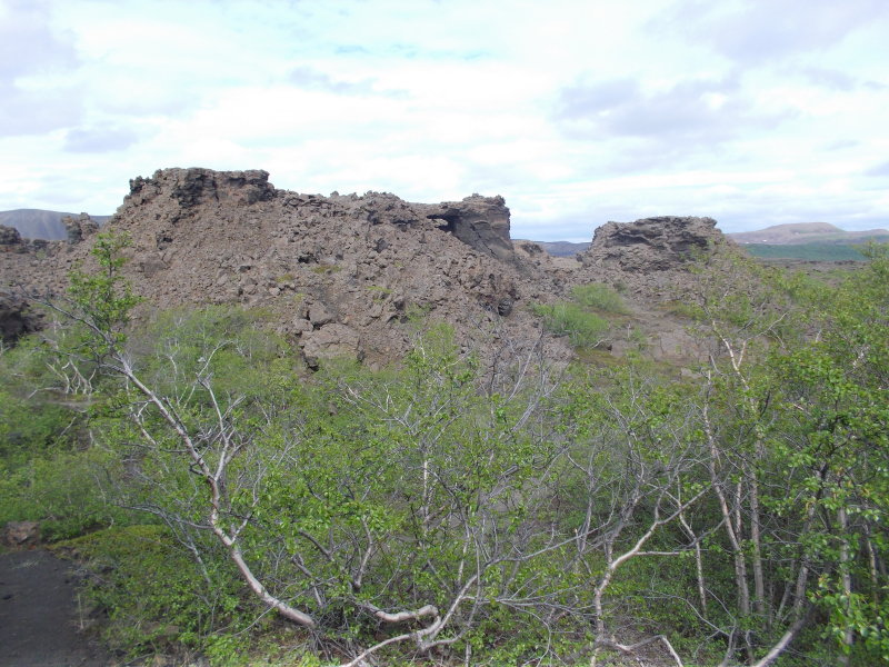 DSCN0566.JPG