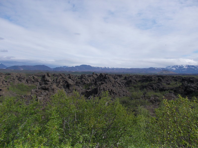 DSCN0577.JPG