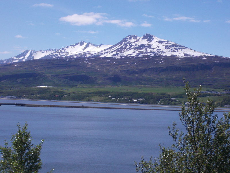 DSCN0642.JPG