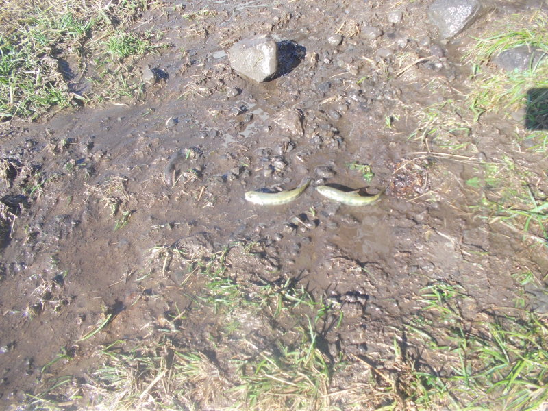 DSCN0657.JPG