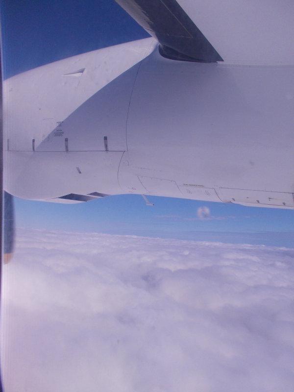 DSCN1141.JPG