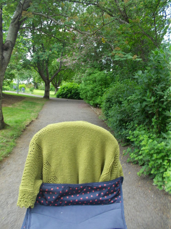 DSCN1170.JPG