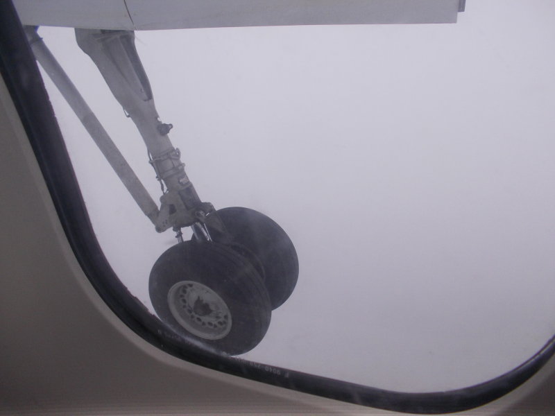 DSCN1195.JPG