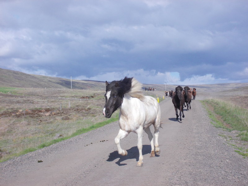 DSCN0718.JPG