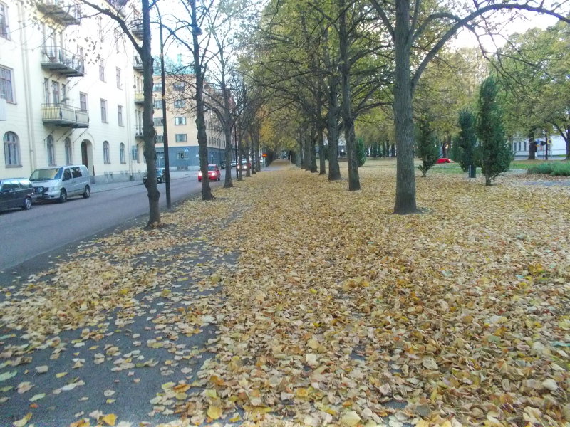 DSCN2266.JPG