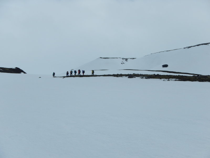 DSCN0546.JPG