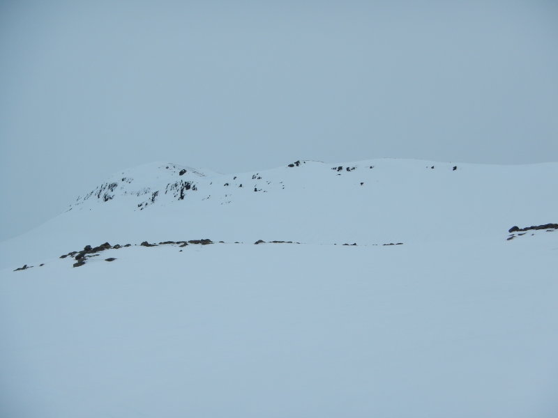 DSCN0559.JPG
