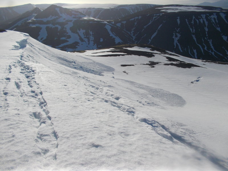 DSCN2641.JPG