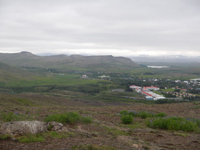 DSCN0950.JPG