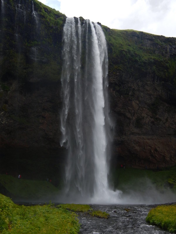 DSCN1223.JPG