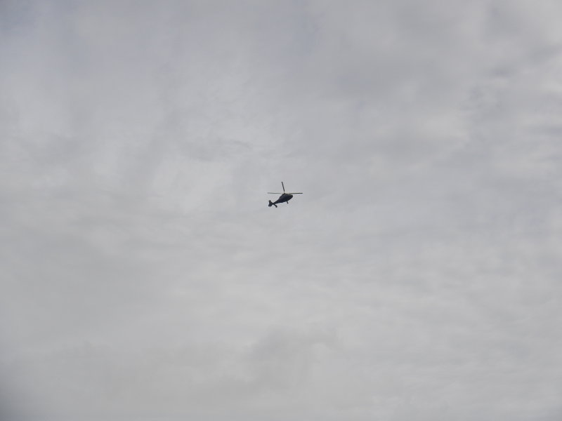 DSCN3390.JPG