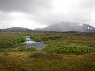 DSCN3920.JPG