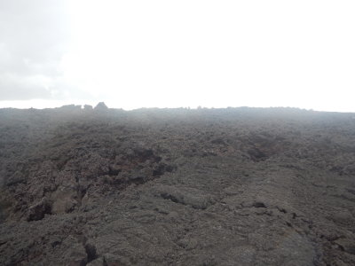 DSCN3948.JPG