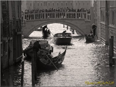 Venise 2013 46.jpg