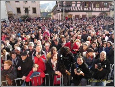 Rosheim 2014 164.jpg