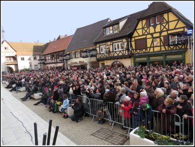 Rosheim 2014 168.jpg