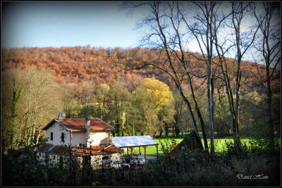 Automne 2015 chez moi 10.JPG