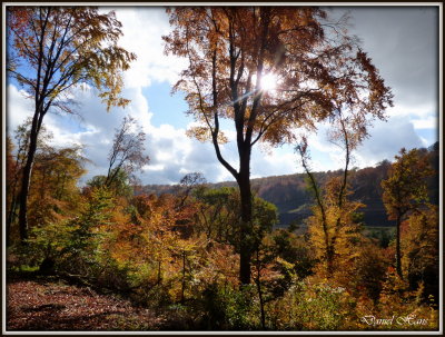 Automne 2015 chez moi 32.JPG