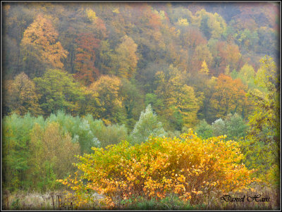 Automne 2015 chez moi 44.JPG