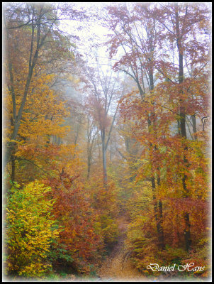 Automne 2015 chez moi 46.JPG