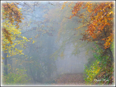 Automne 2015 chez moi 52.JPG