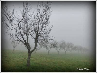 Automne 2015 chez moi 54.JPG