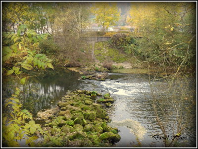 Automne 2015 chez moi 55.JPG