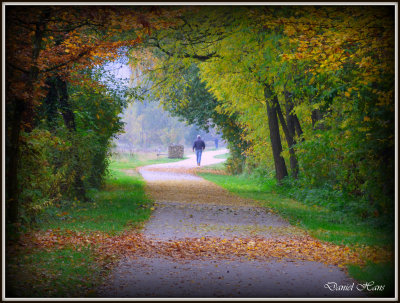 Automne 2015 chez moi 56.JPG