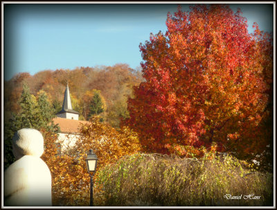 Automne 2015 chez moi 84.JPG