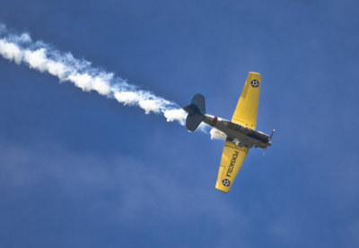 g9/97/873897/3/157162711.GspSfPq4.jpg