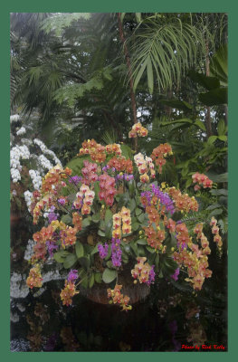 Multi Color Basket