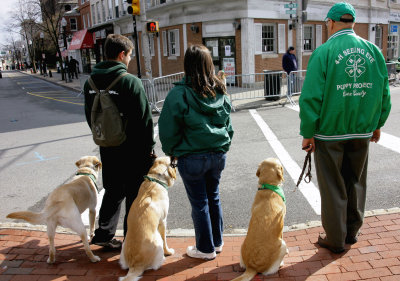 Morristown St. Patrick's Day Parade