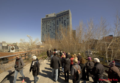 High Line New York Park Hickers