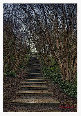 Steps to Cherry Tree Garden