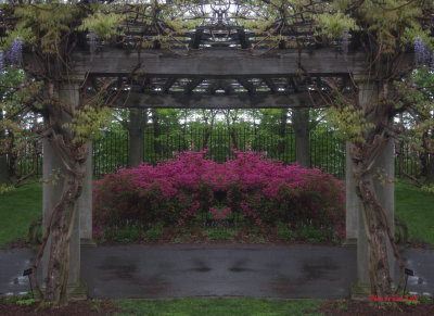 Walkway at Japanese Garden