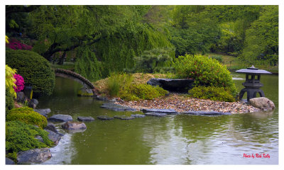Pond of the Garden