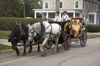 Horse Drawn Carraige