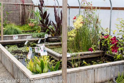 Water_Garden