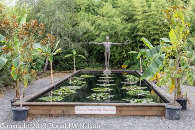 Hughes_Water_Garden